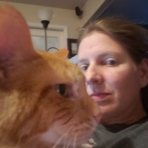 Meet your Posher, Dawn